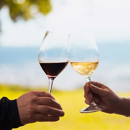 Altos De La Vina, Wine Hotel & Spa San Salvador de Jujuy Eksteriør bilde