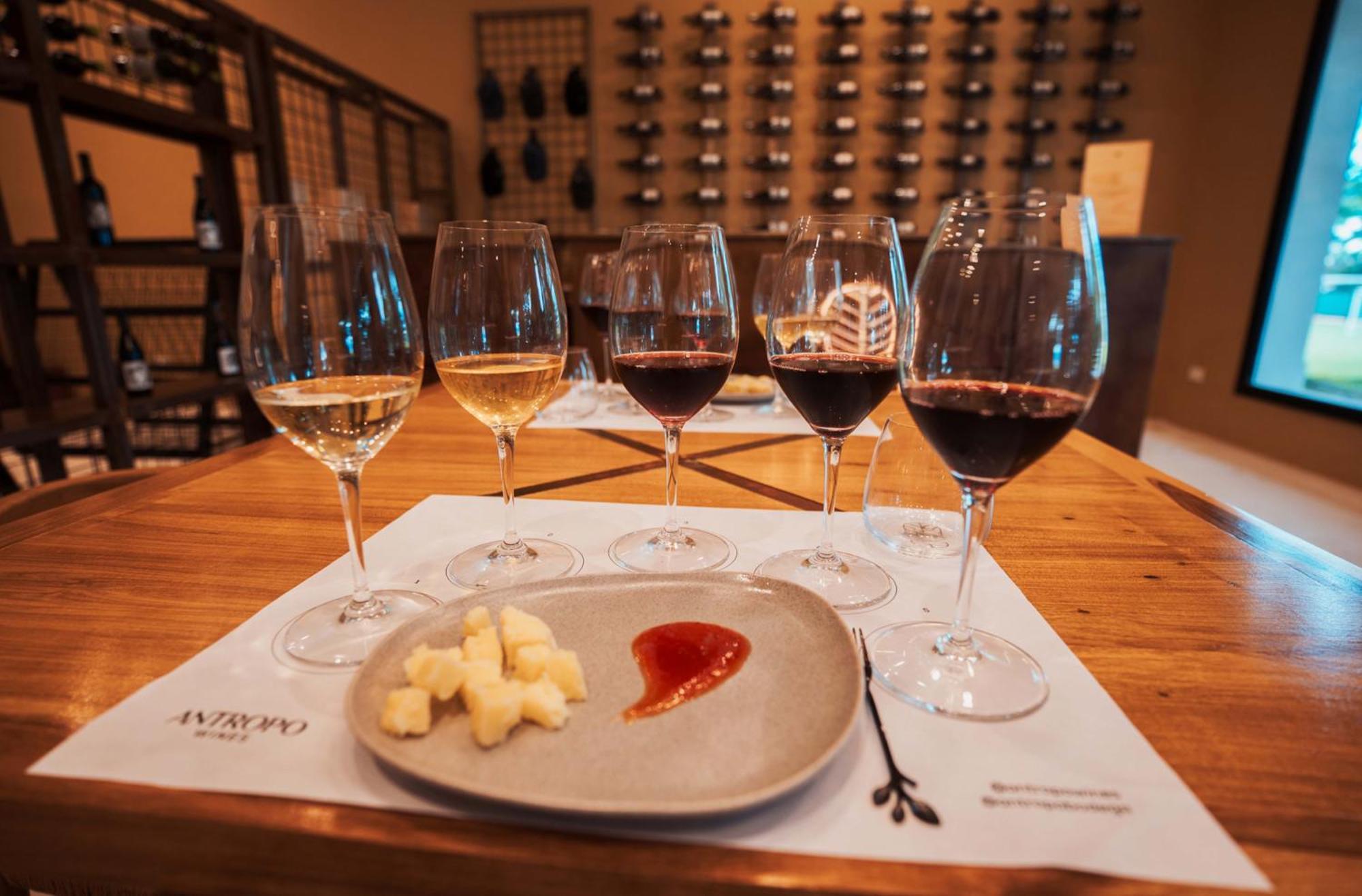 Altos De La Vina, Wine Hotel & Spa San Salvador de Jujuy Eksteriør bilde